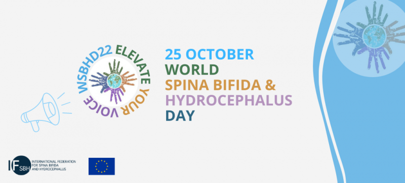 https://www.worldspinabifidahydrocephalusday.com