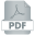 Icon PDF